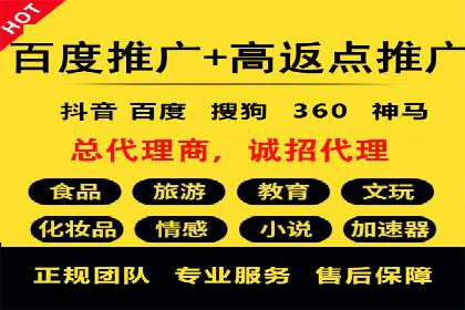 SEM运营推广策略：成功案例解析
