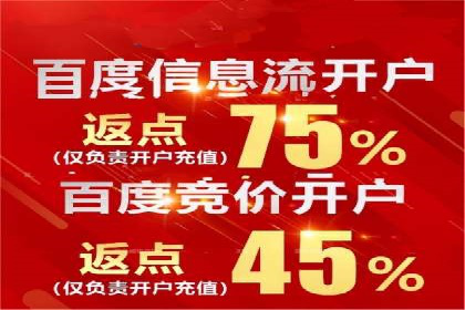 某公司SEM代理策略：实现流量转化